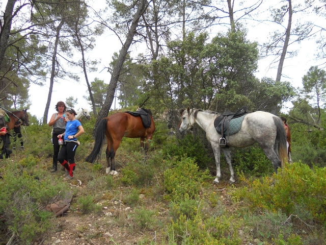  Paseos a caballo en la montaña de Lure 
